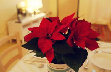 Brezzolina Apartment with parking - Photo 13