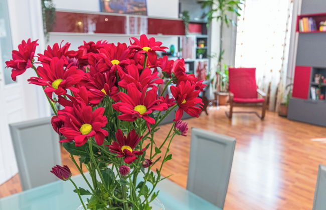 San Salvario Family Apartment - Foto 20