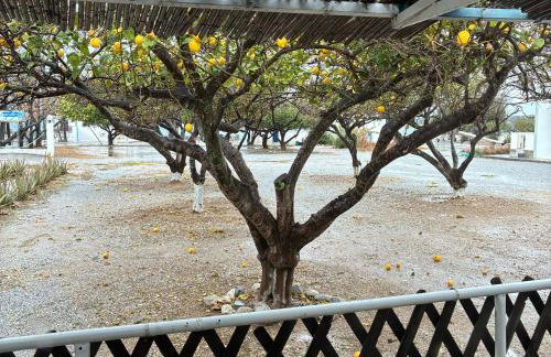 Seaside Escape Klima Beach, Samos - Photo 7