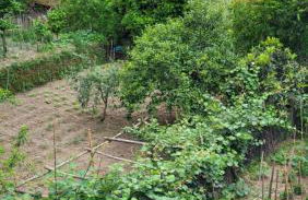 Domus in Horto - Foto 34