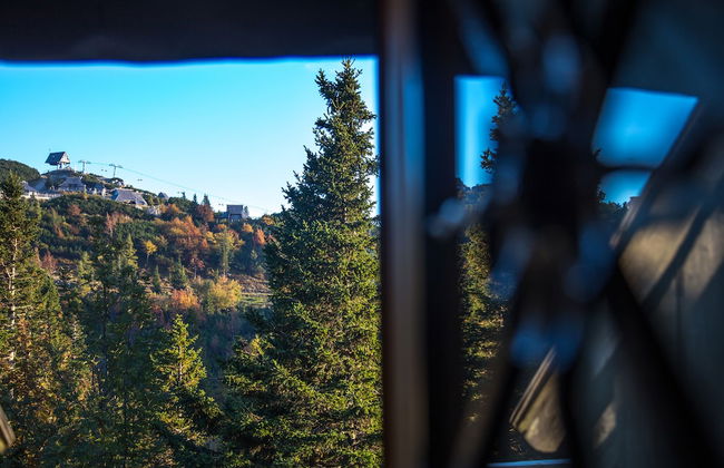 Koca Bistra - Velika planina - Foto 24