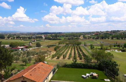 Il Melograno - Foto 8