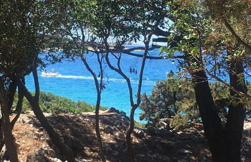 Casula Mediterranea - Foto 23