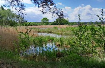 Leśniczówka Zielone Zakole - Foto 70