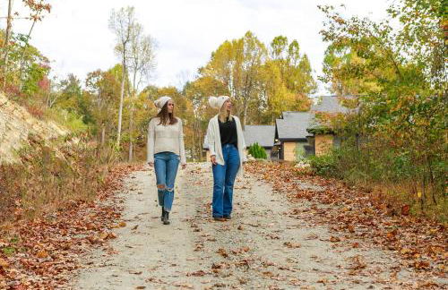 Golden Dawn at Saluda Mountain Retreats - Photo 48