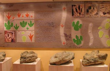 Casa Melchor - Photo 73