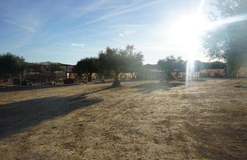 CUCHI FARM - Foto 11