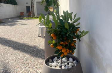 Appartamento SOLE in Villa Giulia sul Mare - Foto 27