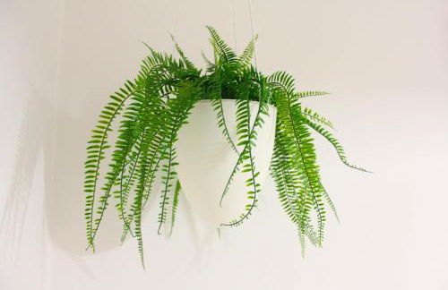 Suite Peretola Airport + Park - Foto 27