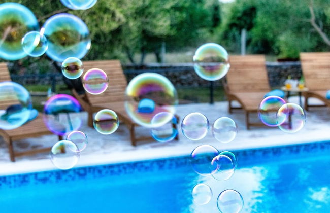 Vintage Winehouse Backov - Foto 25