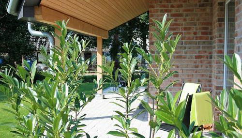 Ferienhaus Küstenhaus Wremen - Foto 2, Garden