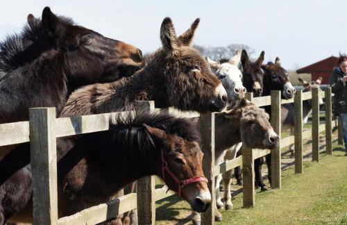 Host & Stay - Redwings Sanctuary Rooms - Foto 14