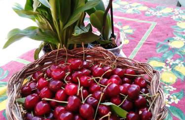 Casa vacanza zia Ersilia - Foto 27