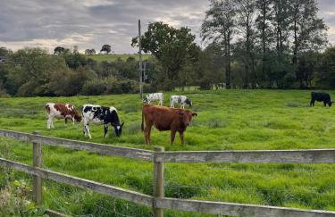Grains Barn Farm - Foto 31