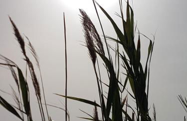 Santa Venera Home - Foto 32