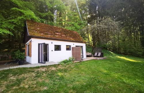 Tiny House mit eigener Sauna am Waldrand in der Fränkischen Schweiz - Foto 14