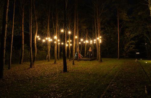 Jemioła Chaty Niedźwiady Małe - Foto 14