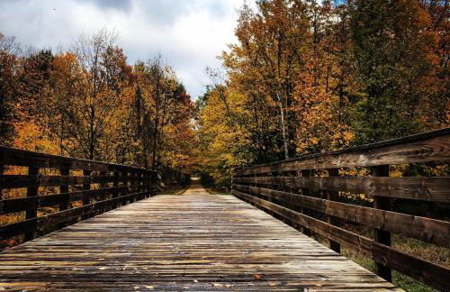 South Village 7 - Foto 9