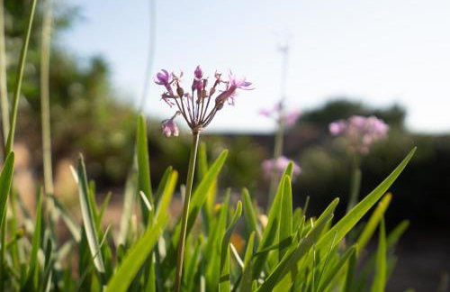 Blue Coast House - Foto 45