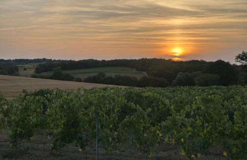 Gîte familial Gers 12 pers - Photo 14