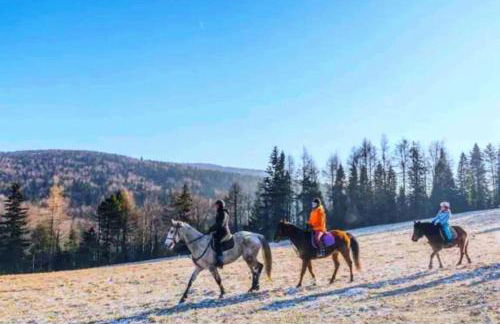 Majesty mountains The Great spirit of Wakan Tanka - Foto 4