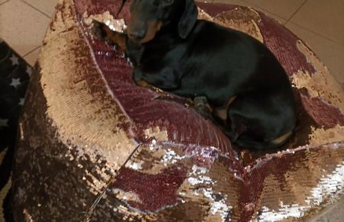 LaBandaBassottiFerrara - Foto 47