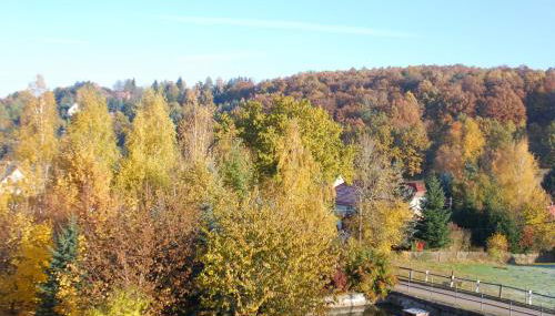 Gutshof Lesch, Fewo3 OG links - Foto 5, Garden view