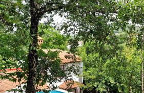 Huerto Fernandito - Foto 22