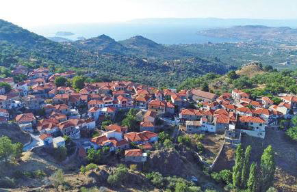 LAFION HOUSE - Foto 10