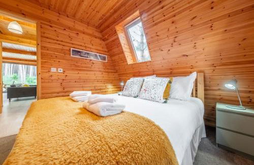 Woodpecker - Photo 28