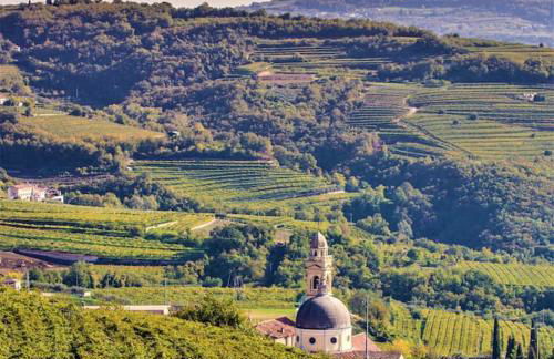 APARTMENTS VALPOLICELLA: RESIDENZA OLIVO - Photo 49