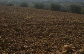 Montevenere 83 - Foto 49