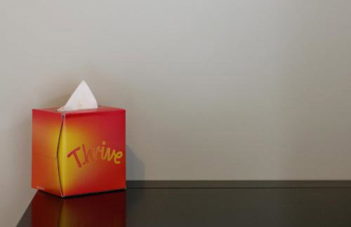 Elmbank House - Foto 43