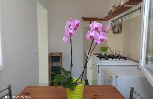 Casa Bianca Ischia - Foto 32