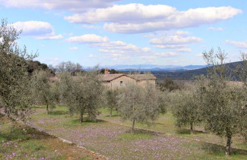 Agriturismo Il Caggio - Foto 69