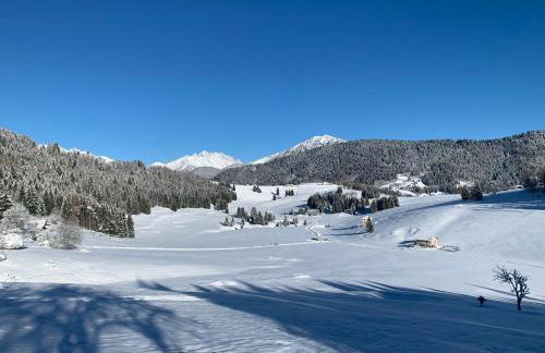 Maso Stella - Foto 45