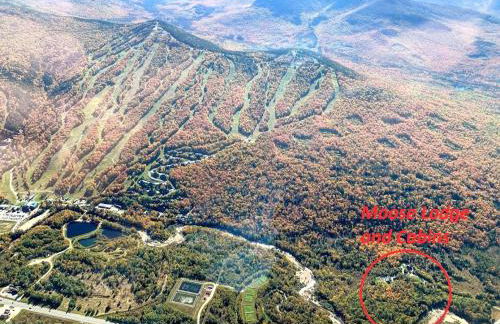 1800ML - As Seen on TV 1 mile from skiing great views hot tub fire pit beach Pool gym passes - Foto 48