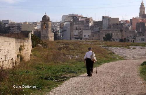 Da noi. Nella città dell'acqua e della pietra. - Foto 15