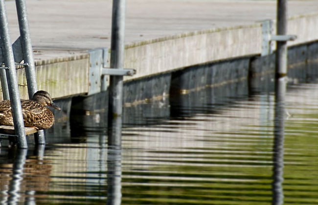 Rösjöbaden Camping & Stugby - Foto 31