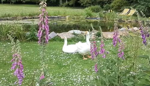 Owlhoot Annexe - Foto 4