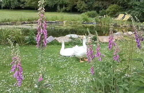 Owlhoot Annexe - Foto 4