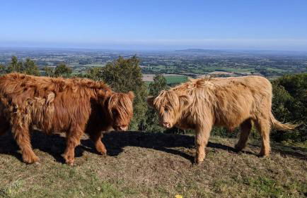 Malvern hills, beautiful garden flat Twohundredandseven - Foto 17