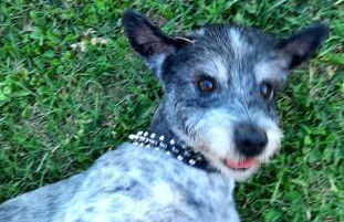 Il Casale di Lucullo - Foto 56