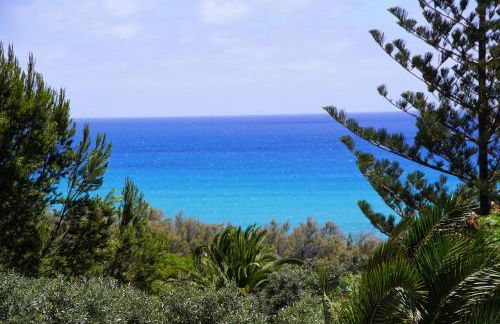 Porto Santo - Pedras Pretas Beach House - Foto 1