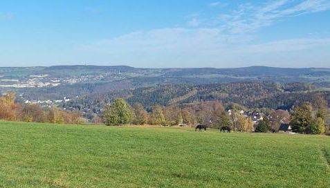 Ferienwohnung Bergidyll - Foto 2