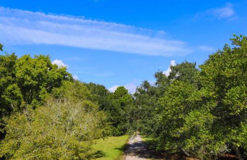 Decked Out - Foto 34