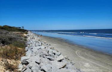 Turtle Tracks B - Foto 22