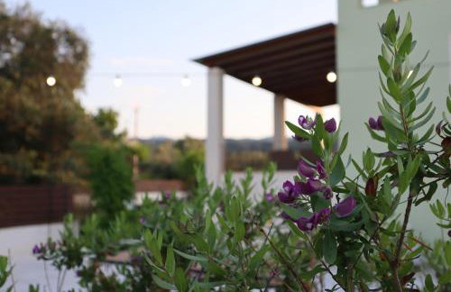 Vicula Mauras - Foto 7