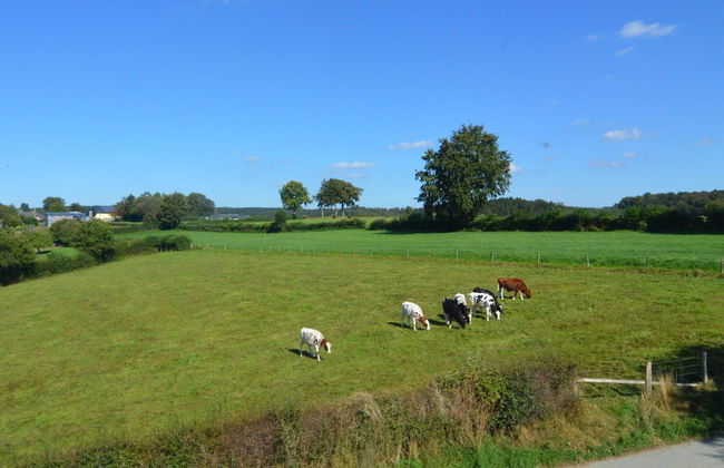 Moderscheid Cottage With Spa - Foto 40