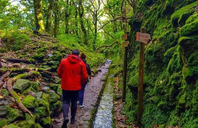 Casa da Bungavillia - Photo 6